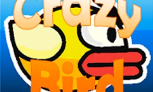Crazy Bird